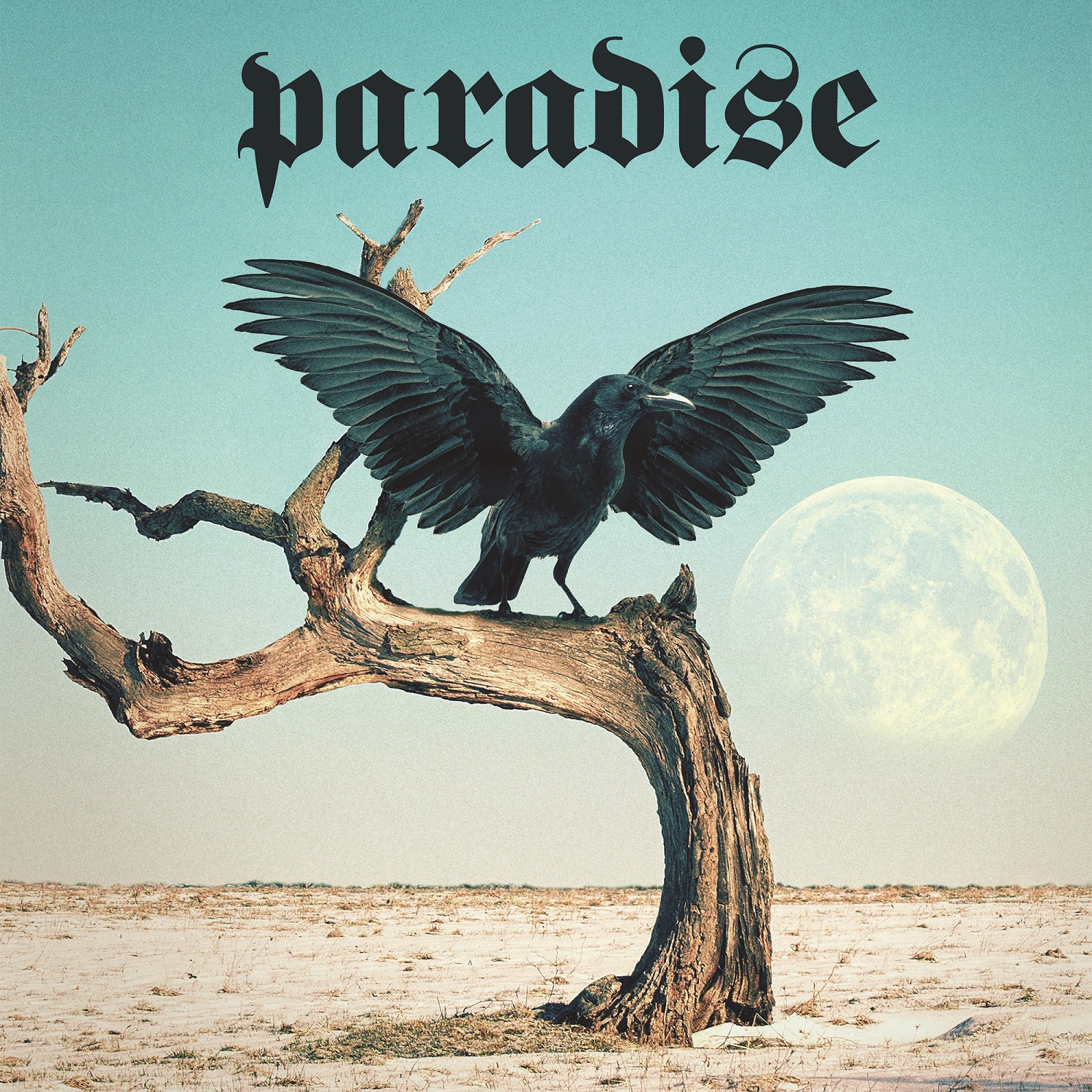 Paradise - Straight From Hell